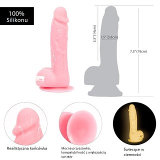 Dildo - Addiction Brandon Dong 19 cm Glow in the Dark Pink