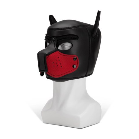 Kaganiec Puppy Prowler Red