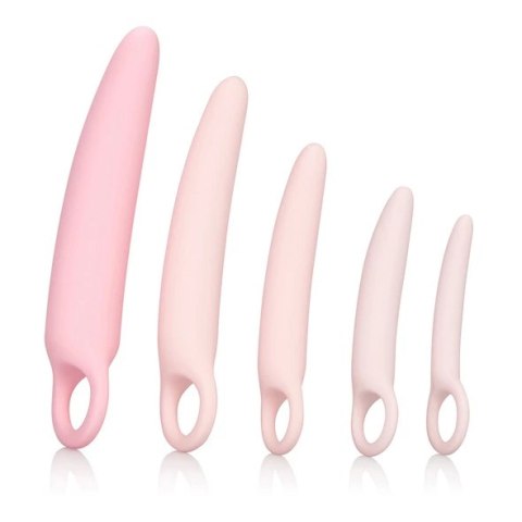 Zestaw dildo - Inspire Silicone Dilator 5 Pcs Set