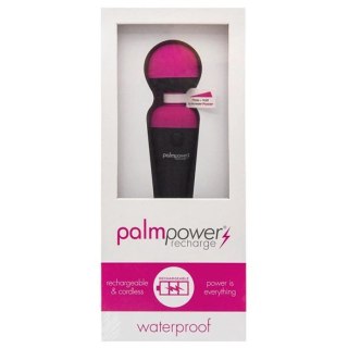 Masażer - PalmPower Recharge Wand Massager